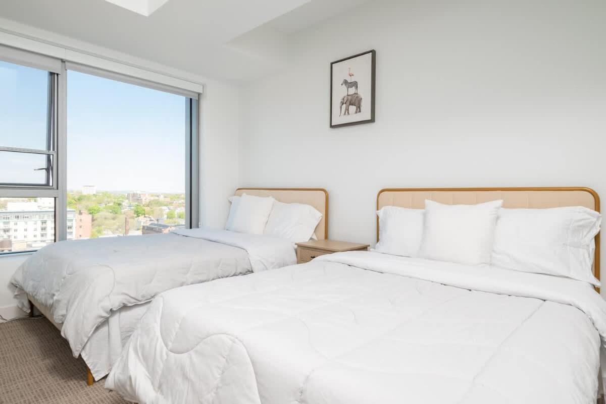 Serene King Bed By Mit Harvard Gym *